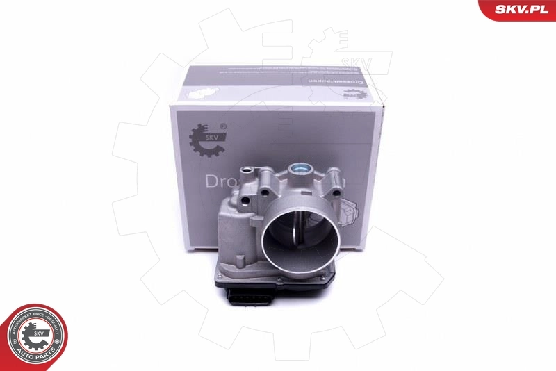 Throttle Body